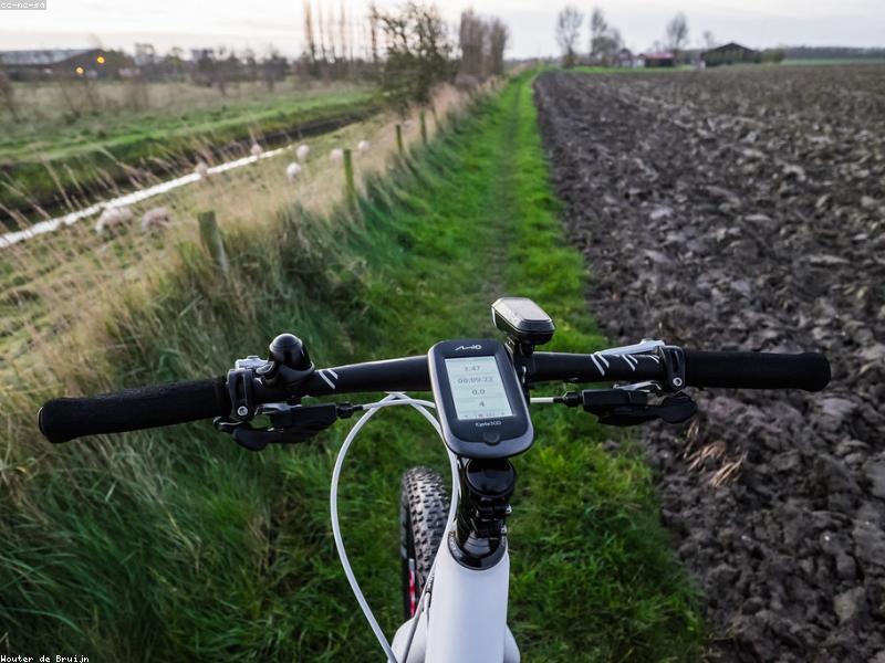 MTB Race
